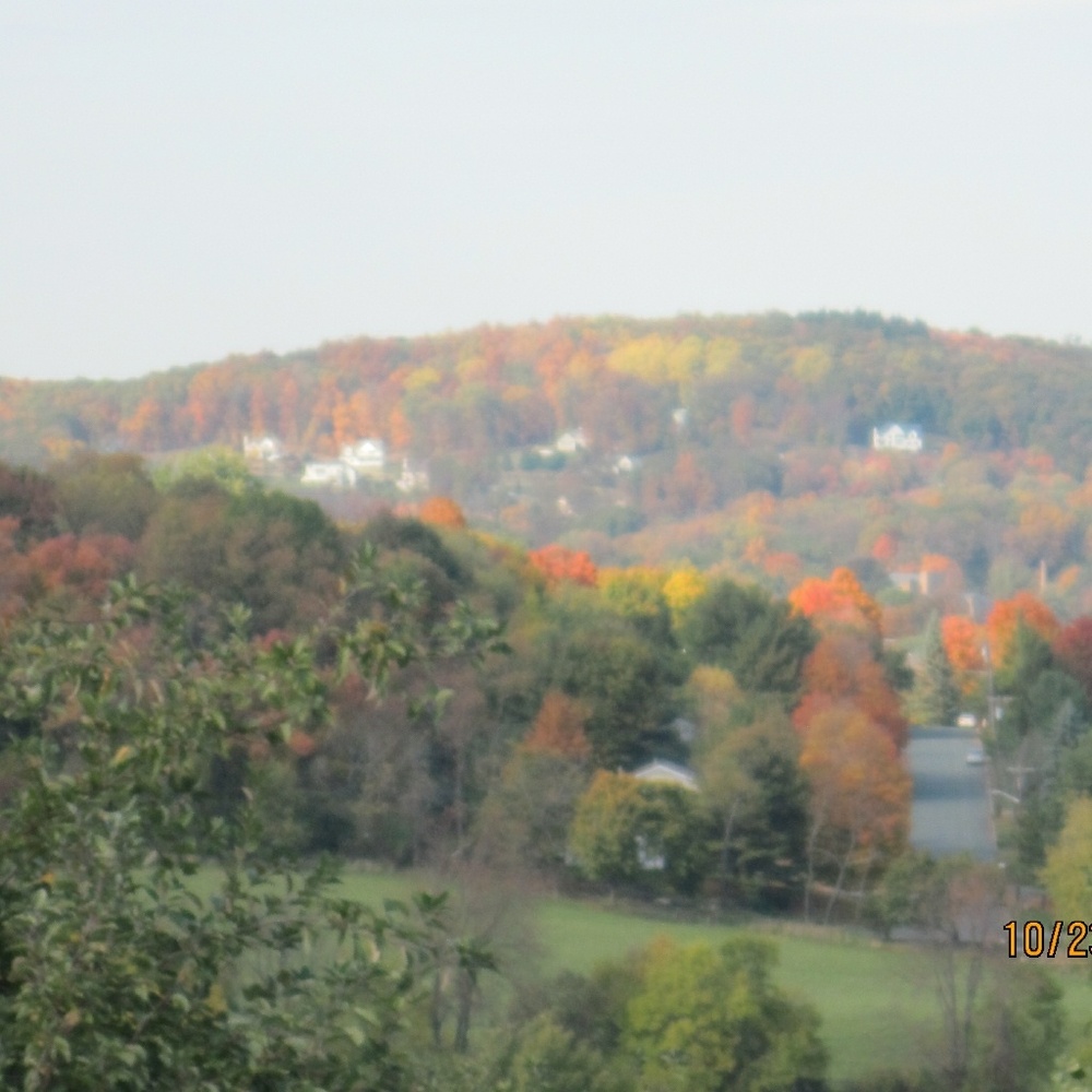 Meet your Posher, Lady